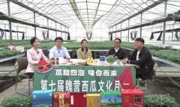 泗洪吃瓜,吃瓜也能吃出风味