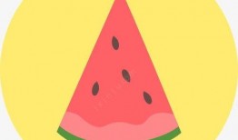 吃瓜网西瓜图标