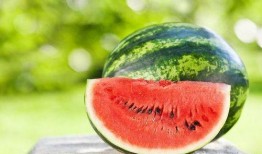 吃瓜网中,吃瓜网带你领略明星幕后故事