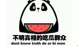 吃瓜信号,吃瓜信号背后的真相大揭秘