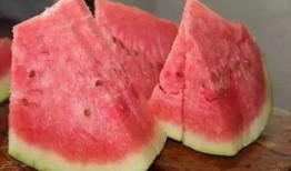 小伙吃石头瓜视频大全,小伙挑战奇特食材，视频大全带你领略异国风味