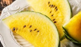 打蛋吃瓜,揭秘美食背后的趣味故事