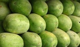 奇怪的吃瓜,揭秘那些令人捧腹的奇怪吃瓜事件