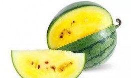 毛瓜何时吃较好,毛瓜的最佳食用时间揭秘