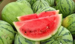 半刻吃瓜,揭秘娱乐圈幕后真相