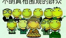 吃瓜群众翰林,揭秘娱乐圈幕后故事