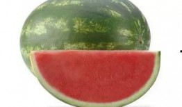 吃鲜瓜坏肚子,警惕肠胃不适风险