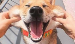 生活不易吃瓜看戏,品味人间百态