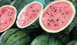 胖轩吃瓜,揭秘娱乐圈那些不为人知的幕后故事