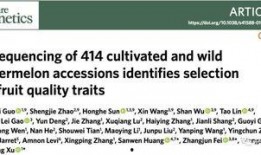 论文在线吃瓜,网络舆论场中的娱乐与反思