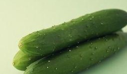 减肥吃瓜瘦吗,揭秘瓜类食物的瘦身奥秘