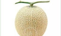 美杜莎吃瓜,探寻神话中的神秘果实