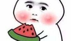 白日梦我吃瓜,一场奇幻的味蕾冒险