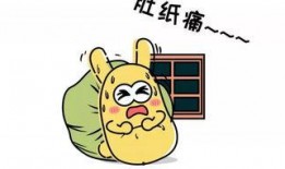 吃瓜群众848,一场全民参与的娱乐盛宴