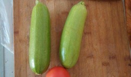 小瓜吃番茄了吗,吃了吗？