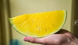 大白瓜做什么吃,探索创意烹饪新境界