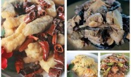 霞霞在吃瓜,揭秘娱乐圈幕后故事