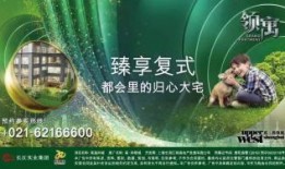 高尚领域吃瓜,揭秘吃瓜群众的趣味生活圈