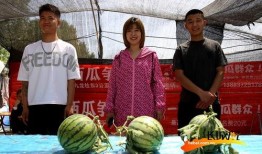 农村吃瓜照片高清,瓜田里的欢乐时光