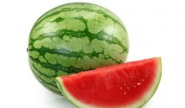 吃瓜小常识段子,那些年我们一起吃过的段子