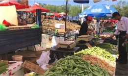 摆摊吃瓜技巧视频,视频教你轻松摆摊技巧