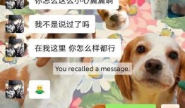 吃瓜变吃狗粮,娱乐圈的甜蜜与苦涩