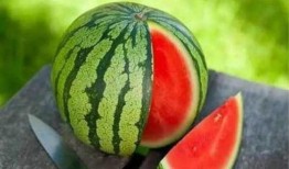 书穿带有吃瓜系统,吃瓜系统带我玩转宫廷风云