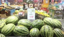 吃瓜节宣传,揭秘吃瓜节的趣味与魅力