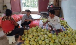 新余全季吃瓜,一场味蕾与视觉的双重盛宴