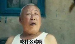 庄先生解说吃瓜,庄先生带你领略吃瓜文化的魅力