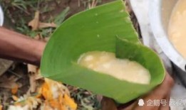 吃瓜后后悔吃瓜系列,后悔吃瓜系列