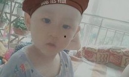 小林吃瓜20,揭秘娱乐圈背后的故事