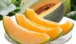 游客瓜州吃瓜,游客体验瓜州特色美食之旅