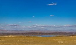 新疆牧民吃瓜,共享瓜田乐趣