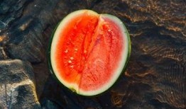 路宇吃瓜,揭秘娱乐圈背后的那些事儿