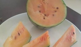 橙瓜怎么吃,轻松解锁食用新技巧