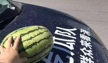 关于吃瓜的队名,揭秘吃瓜队伍的趣味与智慧