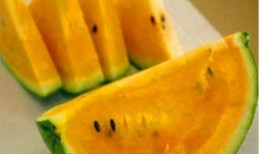 羊角蜜是吃瓜还是吃瓤,是吃瓜还是吃瓤的甜蜜抉择