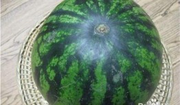 夏天吃瓜怎么挑瓜,轻松挑选夏日消暑佳品