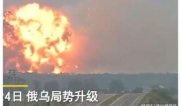 俄乌战争六公主吃瓜,揭秘战事背后的娱乐焦点