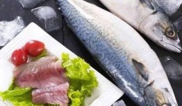 吃瓜肥肥鱼,揭秘娱乐圈背后的那些事儿