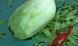 汕头的吃瓜,街头巷尾的清凉诱惑