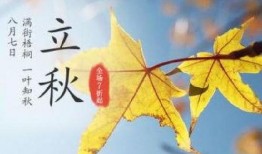 立秋吃瓜朋友圈,瓜果飘香，朋友圈里的甜蜜时光