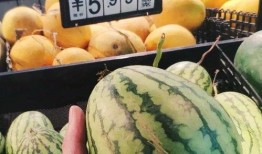 丽欣吃瓜,揭秘娱乐圈幕后故事