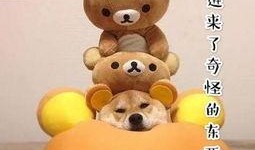 蛋仔旱獭吃瓜表情,蛋仔旱獭的吃瓜表情大揭秘