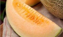 雨宫吃瓜,揭秘娱乐圈背后的秘密与八卦