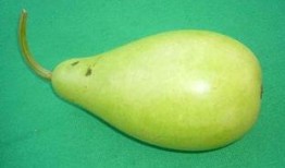 秋季吃蒲瓜好吗,蒲瓜——清甜润肺的秋季佳品