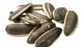 瓜子吃瓜哈,欢乐无限，一起哈皮！