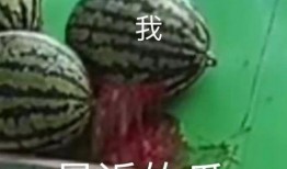 专业的吃瓜,专业吃瓜群众带你领略幕后风云