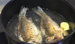 刘大瓜吃土鲫鱼